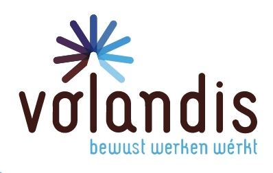 Volandis's logo