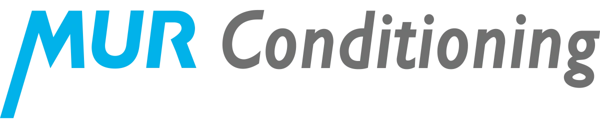Company's logo