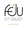 Féju ICT Groep's logo'