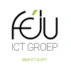 Féju ICT Groep's logo'