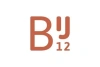 BIJ12's logo'