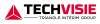 Techvisie's logo'