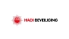 Hadi's logo'